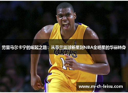 劳里马尔卡宁的崛起之路：从芬兰篮球新星到NBA全明星的华丽转身